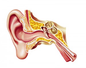 process of hearing